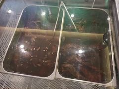 -鸿运兔·手撕烤兔(天府广场店)