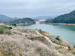 -广州市流溪河国家森林公园