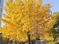 -苏州河梦清园环保主题公园