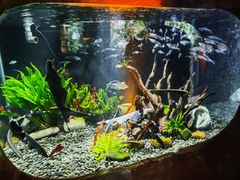 -太平洋海底世界