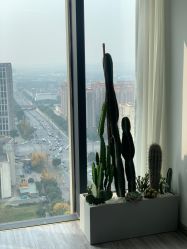 -Doris多里斯半永久纹眉·SMP纹发·发际线