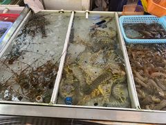 -大湾区中央湿地公园-十九涌