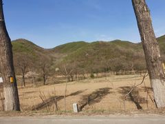 -陈家小院(阜昌路店)