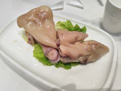 -丁老爷子苏香圆