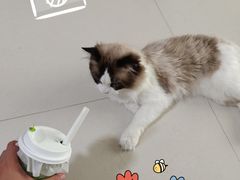 -奈雪的茶(大梅沙8号仓店)