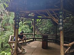 -青城山