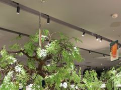 -绿茶餐厅(龙湖杭州金沙天街店)