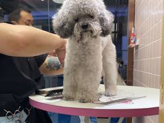 -FAELING PETS美天灵宠物(富力广场店)