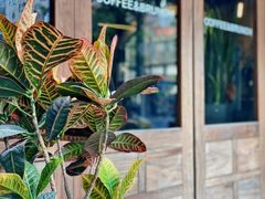 -VESH COFFEE(定西路店)