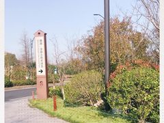 -湘湖金融镇