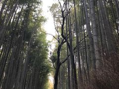 -鯛匠 HANANA