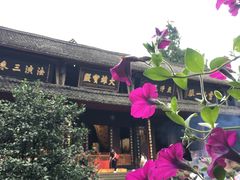 -峨眉山报国寺
