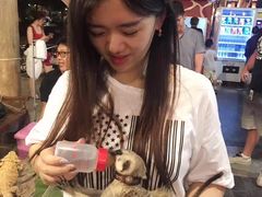 -清迈夜间动物园