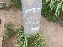 -梧桐山风景名胜区