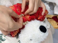 -上海静安大悦城