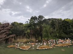 -宁波野生动物园