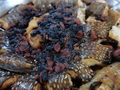 豆鼓蒸海鳗鱼-板桥海鲜广场(文明东店)