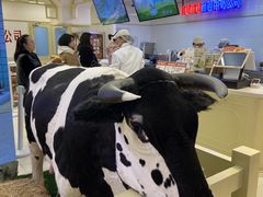 -红星前进面包牛奶公司(君太店)