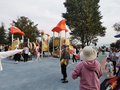 -铁山坪森林公园