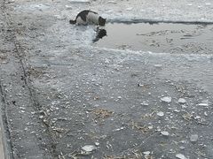 -迎泽公园