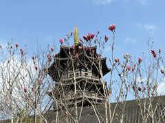 -洋湖国家湿地公园