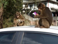 -西岭雪山大飞水景区