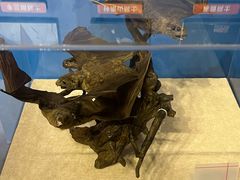-浙江自然博物院(杭州馆)