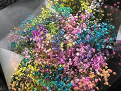 -万达广场(芜湖镜湖店)