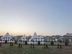 -春花秋色城市公园