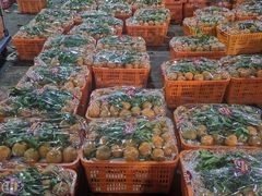 -菜园坝水果市场