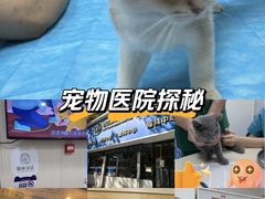 -芭比堂动物医院·心脏科·老年急重症·夜诊·吉雅分院