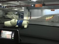 -蓝钻天成