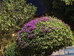 -铁路文化公园