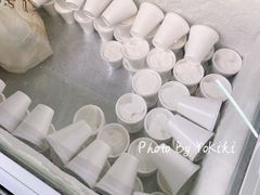 -洪馨椰子