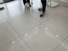 -全心全意连锁动物医院·微创中心·内科急重症·心脏专科(丰管路店)
