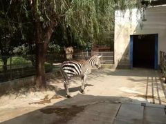 -祥源·阜阳生态乐园