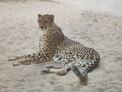 -鄂尔多斯野生动物园