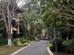 -西双版纳安纳塔拉度假酒店