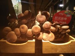 -大头椰·椰子鸡火锅(南宁万象城店)