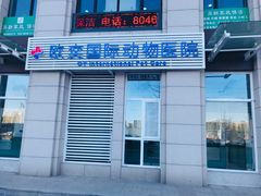 -欧奕国际动物医院