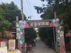 -上海长兴岛郊野公园