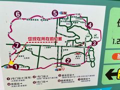 -东平国家森林公园烧烤