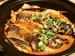 家烧千岛湖鱼头-千岛湖小鱼儿·淳安匠心农家菜