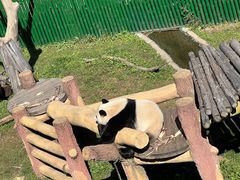 -沈阳森林动物园