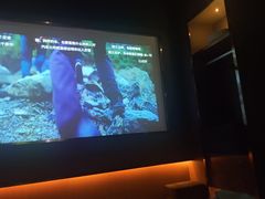 -番茄按摩·影院足道·柔足SPA(龙之道国顺路店)