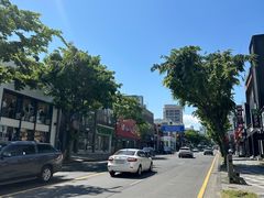-宝健路步行街(Pedestrian Shopping Street)
