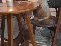 -咖法森林·咖啡  酒吧(天河店)