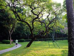 -晓港公园