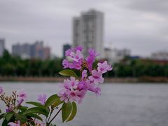 -南宁南湖公园