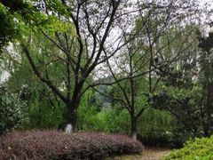 -白马涧龙池景区
